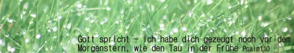 Taufweg-Banner