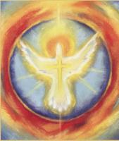 Firmlogo