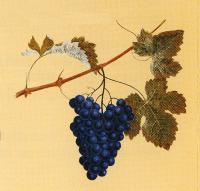 Obstb�ume