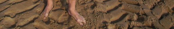 F��e am Strand