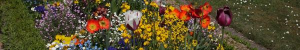 Blumen