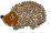 Igel