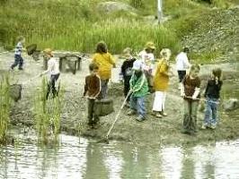 Spiel in der freien Natur