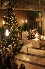 Weihnachtsbaum