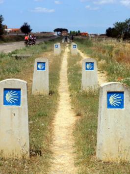 Auch ohne Google Earth und GPS leicht zu finden:
  Der Weg nach Santiago de Compostela
  
  