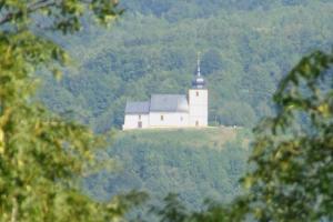 (IMG_1469.jpg; 47 kB)
