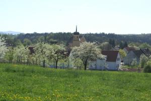 Großenbucher Kirche während der Kirschblüte