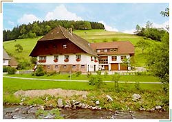 (bild_hof.jpg; 17 kB)