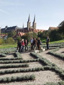 3450 Lavendelstr�ucher bilden das Labyrinth, in dessen Mitte der Bischofsstab steht.