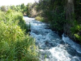 Naturpark Dan, in dem die Quellen der Jordan liegen