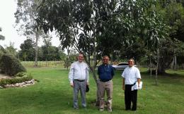 Mit Bischof Fausto und Carmelo vor dem Mango-Baum, den wir 2006 als Vertretung unserer Regio gepflanzt haben (ist vielleicht fr die damaligen Teilnehmer eine schne Erinnerung)
  